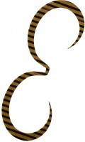 SHIMANO ED-X01U Engetsu Strong Curly #011 Zebra Guripa