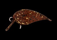 OFFICE EUCALYPTUS Esa 25.6mm 0.6g #24 Mori* 2 Monmon Faha