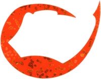 DAIWA Kohga Silicone Necktie Pas De Chat L #Kushi Orange