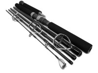 TRANSCENDENCE Laulau83GT-S.Rev3