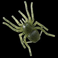 GAN CRAFT Big Spider MC21 Watermelon Bug