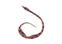 START Silicone Necktie Magical Jr. #35 不规则斑马 (3个)