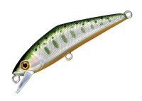 SMITH D-Contact 72 #51 Green Yamame