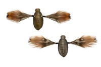 JACKALL Need Cicada #Hibara Haru Zemi