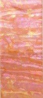 AWABI HONPO Abalone Sheet New Zealand Large-sized orange
