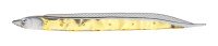 FISH ARROW Flash-J Shirasu SW 3 #148