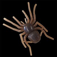 GAN CRAFT Big Spider MC24 Sexy Spider