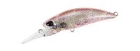 DUO Tetra Works Toto Shad 48S #CUA0634 UV Red Ami