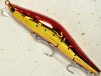 BLAZEYE x ECLIPSE Evoroots 120F # X02 Deep Red Hasu Iwashi