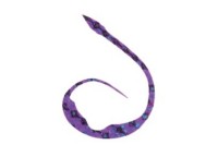 START Silicone Necktie Magical Jr. #36 Makai 斑马 (3个)
