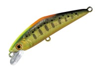 SMITH D-Contact 72 #52 CG Indicator