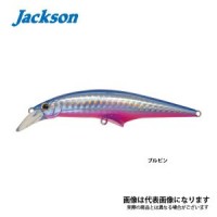 JACKSON G-Control 28g SBP Bulpin
