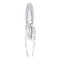 LUMICA C00161 XTRADA Puni Rubber Suit S UV Clear