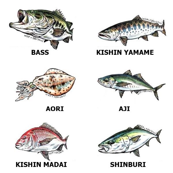 WATER SIDE PETERPAN x Tokishin Sticker Patch R #Kishin Yamame