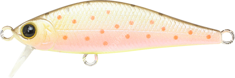 LUCKY CRAFT Pointer 50S #Brown Trout