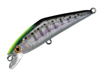 SMITH D-Contact 72 #53 Kurogin Chart Yamame