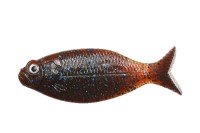 DSTYLE Gilluula 2.5" Skappanon Blue Flake