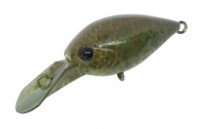 DAYSPROUT ChatteCra DR # TO-02 THE - O Ori