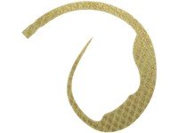 START MC-17 Silicone Necktie Magic Curly #17 Smoke Gold