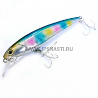 NORIES Oyster Minnow 92 S-55H