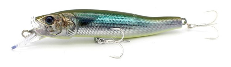 LITTLE JACK  Forma Gloss-90 #02 Olive Bait