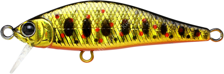LUCKY CRAFT Pointer 50S #BGR Amago
