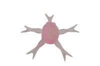 JACKALL Jimmy Henge 42mm #Marble Stealth Pink