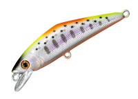SMITH D-Contact 72 #54 WS Indicator