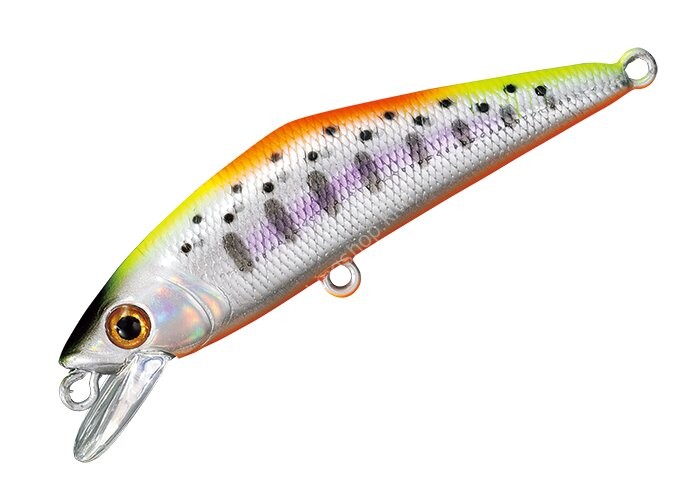 SMITH D-Contact 72 #54 WS Indicator