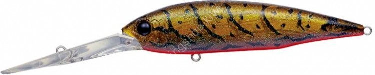 EVERGREEN Gold Digger 600 # 216 Olive Claw Daddo