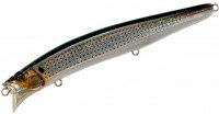TACKLE HOUSE Feed. Shallow 155F #11 HG・Dotted Gizzard
