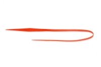 RISE JAPAN Namidama Necktie Short Straight #NS03 Orange