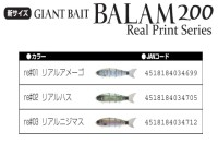 MADNESS Balam 200mm 46g Real Print Series re#01 Real Amago