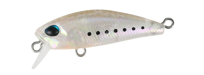DUO Tetra Works Toto Fat 35F #CUA0615 Matte Shirasu