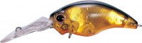 EVERGREEN Wildhunch #18 Flash Gold