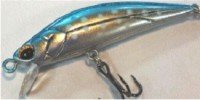 MUKAI x HUMP M-Revo 50S2 # Iwana