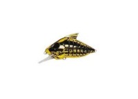 WATERLAND Skeleton Crank #Gold