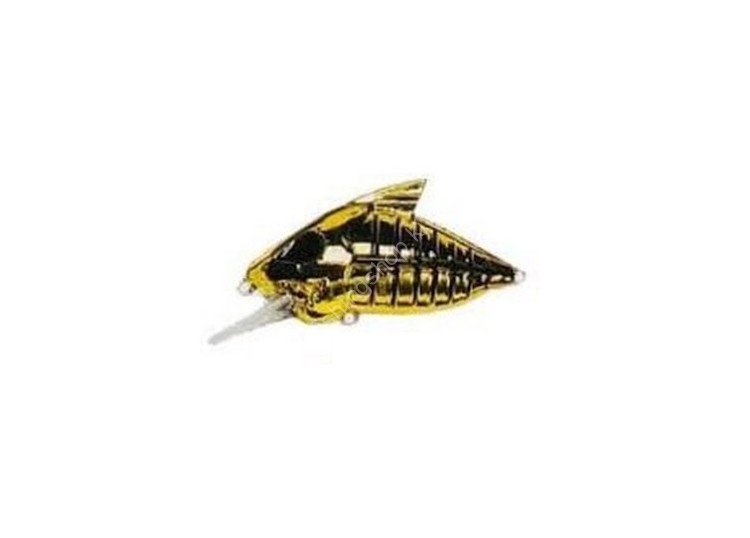 WATERLAND Skeleton Crank #金色